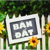 Chính chủ cần bán đất nền thô cư, ngay Trung tâm TP Thanh Hóa